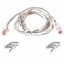 Belkin RJ45 CAT-5e Patch Cable White 04 4 ft Category 5e Network Cable for Network Device - First End: 1 x RJ-45 Network - Male - Second End: 1 x RJ-45 Network - Male - Patch Cable - Gold Plated Connector - 24 AWG - White - 1 Each