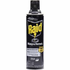 Raid Wasp and Hornet Killer 33 Spray - Kills Wasp, Hornet, Mud Dauber, Yellow Jacket - 14 fl oz - White - 1 Each