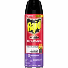 Raid Ant & Roach Killer Spray Spray - Kills Ants, Cockroaches, Water Bugs, Palmetto Bug, Silverfish, Carpet Beetle, Earwig, Spider, Lady Beetle, Black Widow Spider - 17.50 fl oz - Red - 1 Each