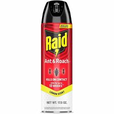 Raid Ant & Roach Killer Spray Spray - Kills Ants, Cockroaches, Crickets, Earwig, Spider, Lady Beetle, Silverfish, Stink Bug, Bugs - 17.05 fl oz - Red - 1 Each
