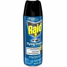 Raid Flying Insect Spray Spray - Kills Flies, Mosquitoes, Gnats, Hornet, Moths, Fruit Fly, Wasp, Yellow Jacket, Boxelder Bug, Asian Ladybeetle - 15 fl oz - Off White - 12 / Carton