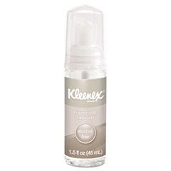 Alcohol-Free Foam Hand Sanitizer, 1.5 oz Pump Bottle, Unscented