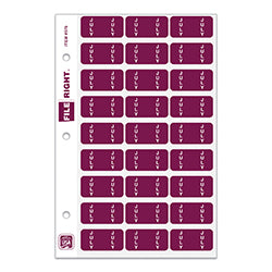 File Right Month Labels - Ringbook Jul 270 / PK