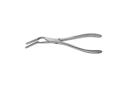Asch Septum Forceps - 8-3/4" (225mm) - Angled
