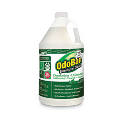 Concentrated Odor Eliminator, Eucalyptus, 1 gal Bottle, 4/Carton
