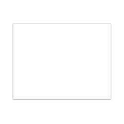 Blank 90# White Stock 250 / PK