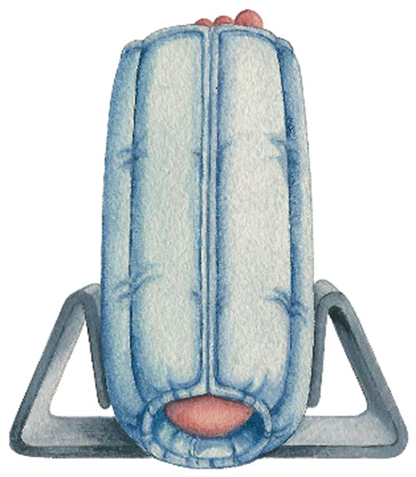 Bilateral Anti-Rotation Gripper