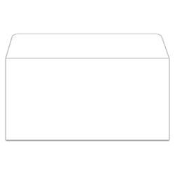 License Plate Envelope - LPEV-1 - Moist & Seal - White - Qty. 100 100 / PK