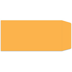 License Plate Env Self Seal - Buff Plain 100 / PK