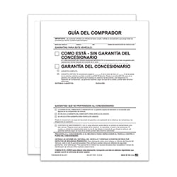 Ext Buyers Guides - PA - Spanish No Lines 100 / PK