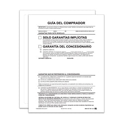 Ext Buyers Guides - PA - IP - Spanish No Lines 100 / PK