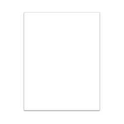 Exterior PA 8.5" x 11" Blank 100 / PK