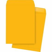 Business Source Durable Kraft Catalog Envelopes Document - #10 1/2 - 9" Width x 12" Length - 24 lb - Gummed - Kraft - Kraft - 250 / Box