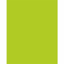 UCreate Neon Poster Board 22" Width x 28" Length - Hot Lime - 25 / Carton