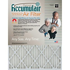 Accumulair Platinum Air Filter For Air Conditioner, Furnace - Remove Mold Spores, Removes Mildew, Remove Bacteria, Remove Micro Organisms, Remove Allergens, Remove Dust, Remove Smoke, Remove Pet Dander, Remove Dust Mite - 20" Height x 25" Width x 1" Depth