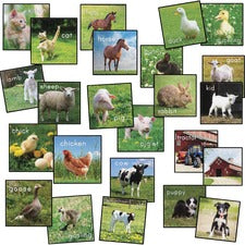 Flagship Carpets Barnyard Classroom Seat Squares Floor Rug - 16" Length x 16" Width x 0.50" Thickness - Square - Multicolor - Yarn