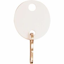 Sparco Oval Key Tags 0.75" Length x 1.10" Width - Oval - Hook Fastener - Plastic - White - 20 / Pack