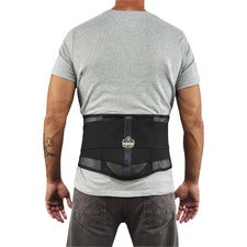 Ergodyne ProFlex 1051 Mesh Back Support with Lumbar Pad Black - Mesh Fabric - 1 Each