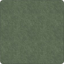 Flagship Carpets Amerisoft Solid Color Rug 12 ft Length x 12 ft Width - Square - Sage Green - Nylon, Polyester