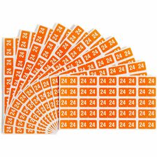 Smead ETS Color-Coded Year Labels 1/2" Height x 1" Width - Rectangle - Orange - Laminated - 10 Total Sheets - 250 Total Label(s) - 250 / Pack