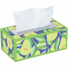 Kimberly-Clark Professional Trusted Care Tissues 2 Ply - White - Wood PulpBox - 160/Box - 24 / Carton