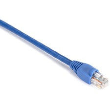 Black Box GigaBase Cat.5e UTP Patch Network Cable 1 ft Category 5e Network Cable for Patch Panel, Wallplate, Network Device - First End: 1 x RJ-45 Network - Male - Second End: 1 x RJ-45 Network - Male - 1 Gbit/s - Patch Cable - Gold Plated Contact - CM -