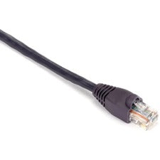 Black Box GigaBase Cat.5e UTP Patch Network Cable 2 ft Category 5e Network Cable for Patch Panel, Wallplate, Network Device - First End: 1 x RJ-45 Network - Male - Second End: 1 x RJ-45 Network - Male - 1 Gbit/s - Patch Cable - Gold Plated Contact - CM -