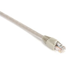 Black Box GigaBase Cat.5e UTP Patch Network Cable 1 ft Category 5e Network Cable for Patch Panel, Wallplate, Network Device - First End: 1 x RJ-45 Network - Male - Second End: 1 x RJ-45 Network - Male - 1 Gbit/s - Patch Cable - Gold Plated Contact - CM -