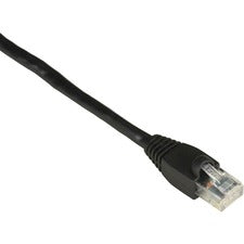 Black Box GigaTrue Cat.6 UTP Patch Network Cable 1 ft Category 6 Network Cable for Patch Panel, Wallplate, Network Device - First End: 1 x RJ-45 Network - Male - Second End: 1 x RJ-45 Network - Male - 1 Gbit/s - Patch Cable - Gold Plated Contact - CM - 24