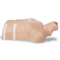 CPR-D Demo Manikin