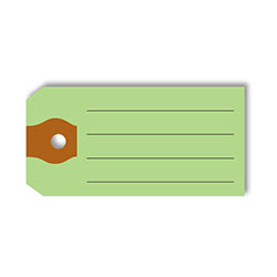 Multi-Purpose Tags - Green (No Rings) 500 / PK