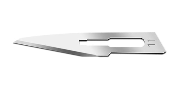 Lance - Stainless Blade - Size: 11