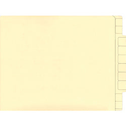 File Folder/Color Code Extended Tab – Plain 100 / PK