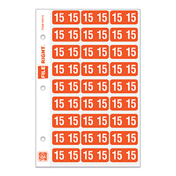 File Right Year Labels - Ringbook 2015 270 / PK