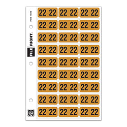 File Right Year Labels - Ringbook 2022 270 / PK