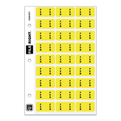 File Right Month Labels - Ringbook Feb 270 / PK