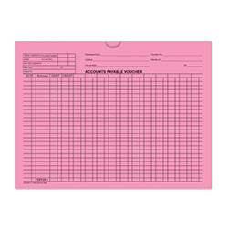 Accounts Payable Voucher Env. - DSA-540 PINK 500 / BX