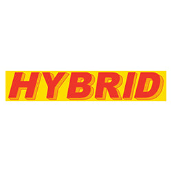 Yellow & Red Slogan - Hybrid - Qty. 12 12 / PK