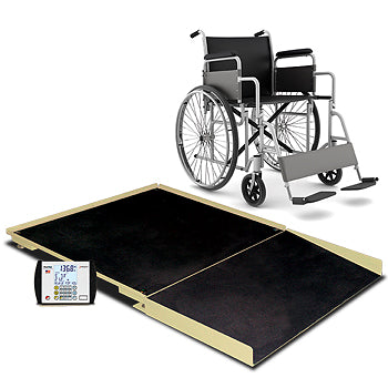 Floor Scale, 4' X 4', 1000 lb Capacity, Ramp, Mv1 Indicator