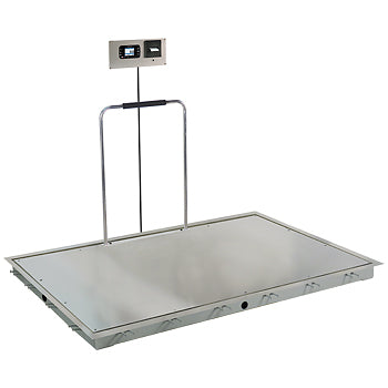 In-Floor Dialysis Scale, 72"X48" Stainless Steel Deck, Hand Rail, 855 Recessed Wall-Mount Indicator with Printer