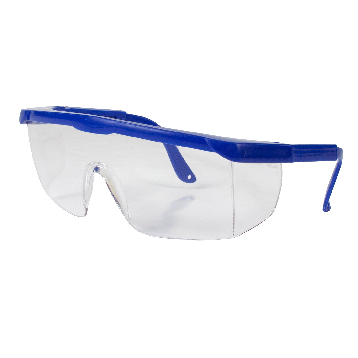 Safety Glasses - Blue - 50/cs