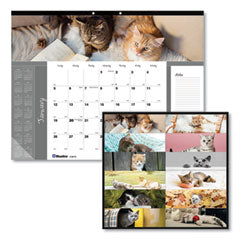 Pets Collection Monthly Desk Pad, Furry Kittens Photography, 22 x 17, White Sheets, Black Binding, 12-Month (Jan-Dec): 2024