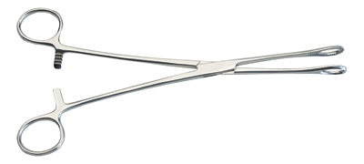 Foerster Sponge Forceps - Serrated, 9 1/2"