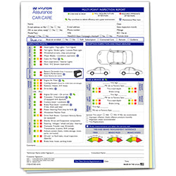 Multi-Point Inspection Form - Hyundai 250 / PK