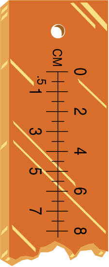 X-RAY MARKER ACCESSORY RULER | RADIOPAQUE AMBER 48"X2"X1/16" 1 PER EACH