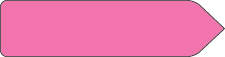 SPEE-D-POINT™ FLAGS & TAGS SOLID HOT PINK REMOVABLE 9/16"X2-1/4" 150 PER PACK