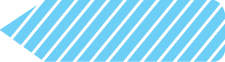 SPEE-D-POINT™ FLAGS & TAGS MINI STRIPED BLUE REMOVABLE 5/16"X1-3/16" 300 PER PACK