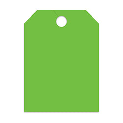 Hang Tags - Blank - Large, Green 50 / PK