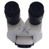 STRAIGHT BINOCULAR HEAD