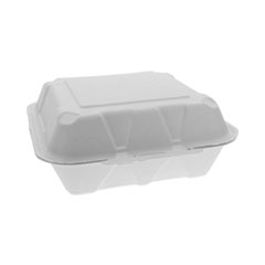 EarthChoice Bagasse Hinged Lid Container, Dual Tab Lock Large Container, 9 x 9 x 3.5, Natural, Sugarcane, 150/Carton